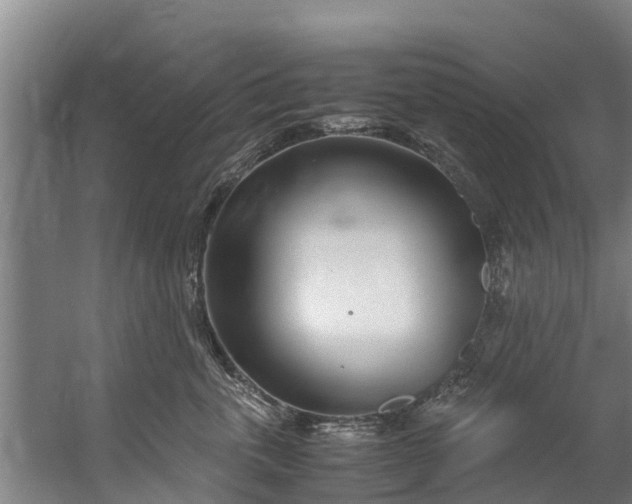 X0000059850763200511041839