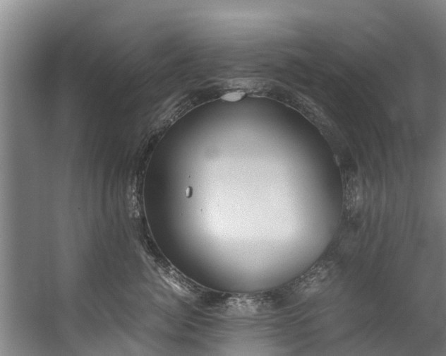 X0000059850764200511041839