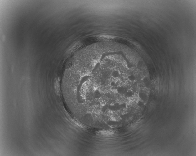 X0000059850765200511041839