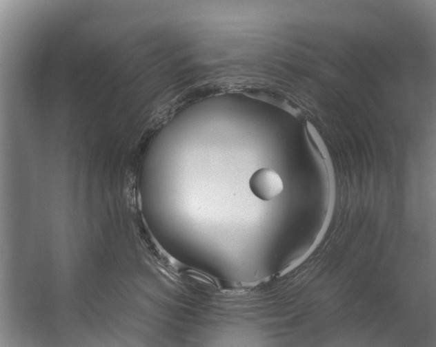 X0000059850766200511041839