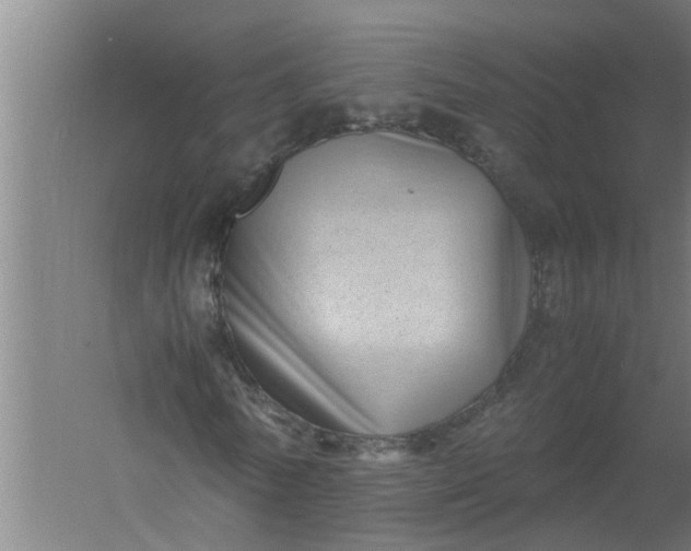 X0000059850770200511041838