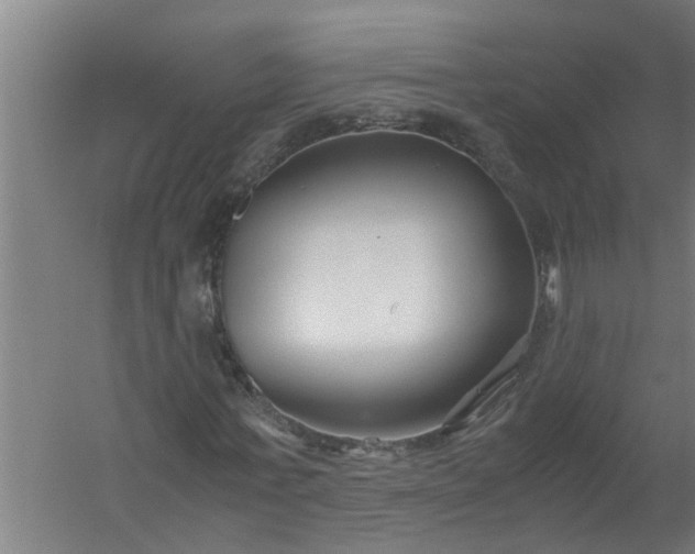 X0000059850771200511041838