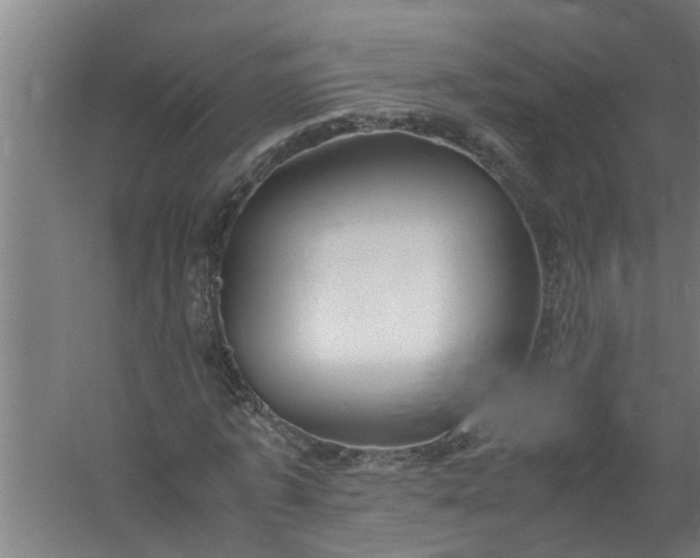 X0000059850773200511041838