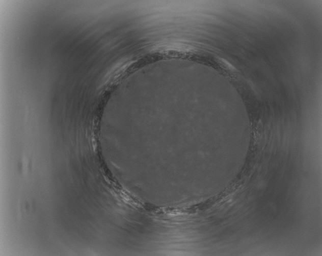 X0000059850774200511041838