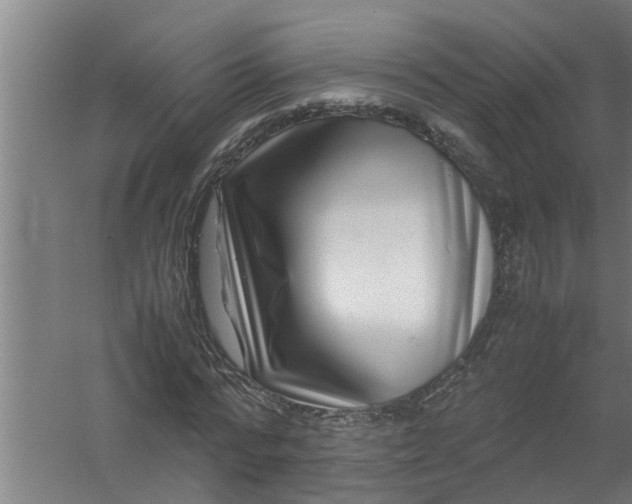 X0000059850776200511041838