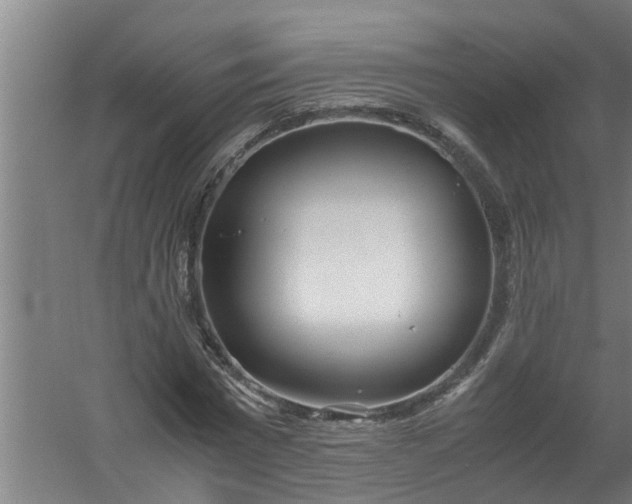 X0000059850777200511041838