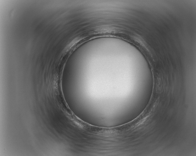 X0000059850778200511041838