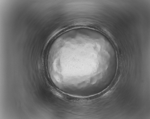 X0000059850779200511041838