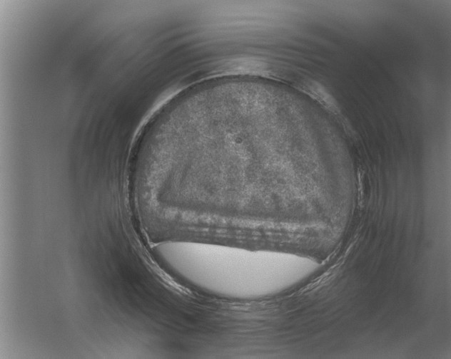 X0000059850780200511041838