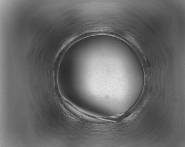 X0000059850781200511041838