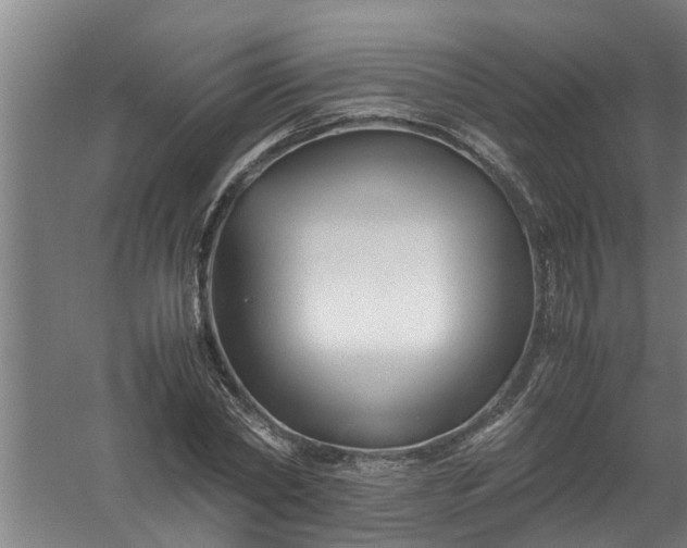 X0000059850782200511041838