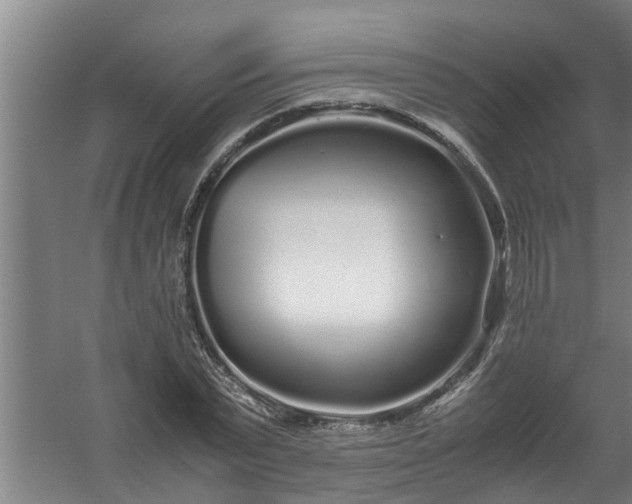 X0000059850783200511041838