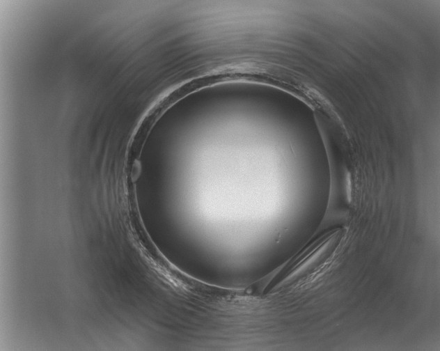 X0000059850784200511041838