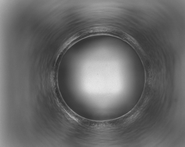 X0000059850786200511041838