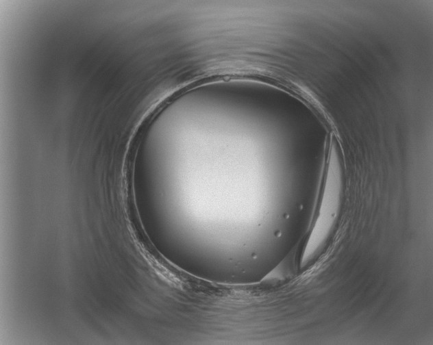 X0000059850787200511041838