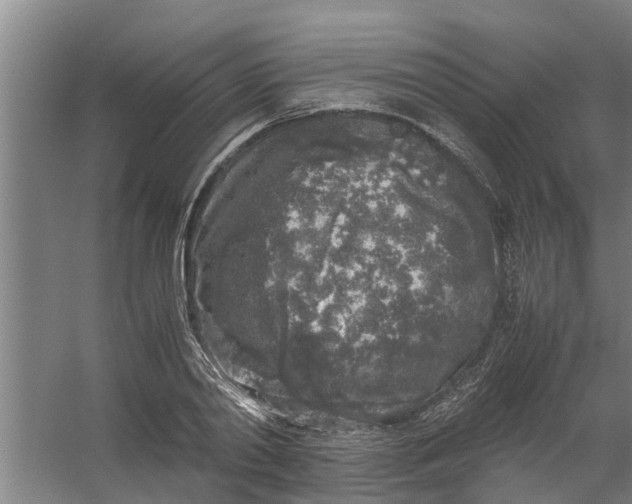 X0000059850790200511041838