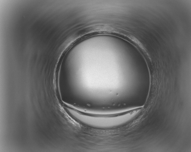 X0000059850791200511041838