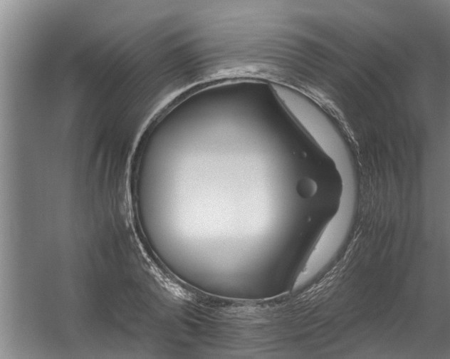 X0000059850792200511041838