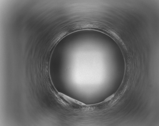 X0000059850793200511041838