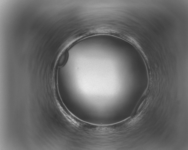 X0000059850795200511041838