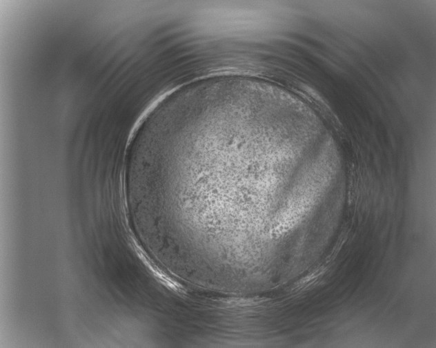 X0000059850796200511041838