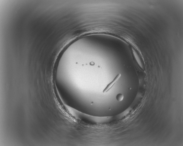 X0000059850797200511041838