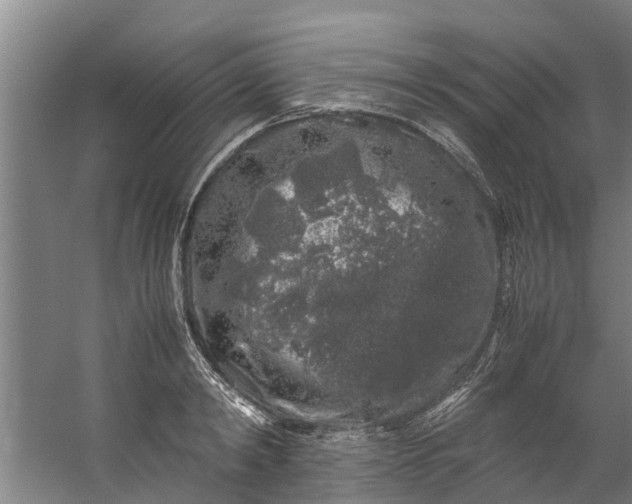 X0000059850798200511041838