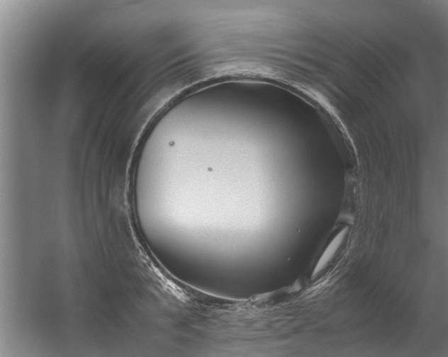 X0000059850799200511041838