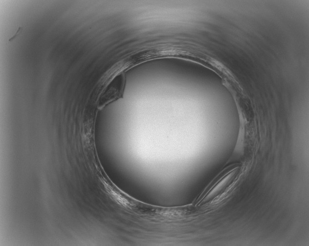 X0000059850801200511041838