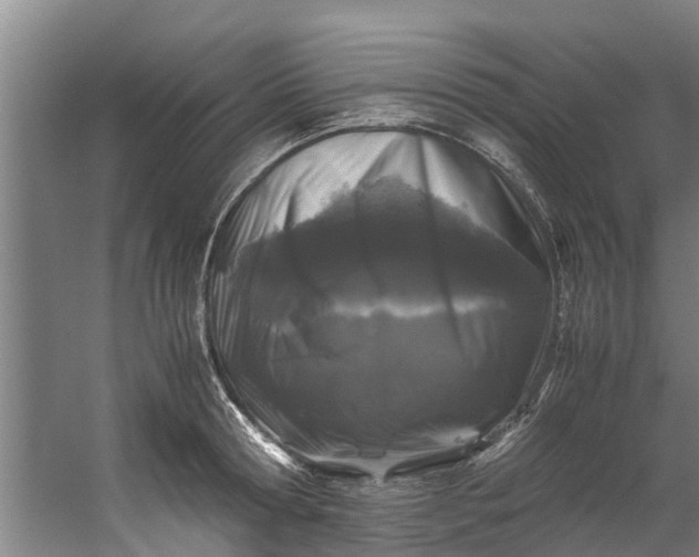 X0000059850802200511041838