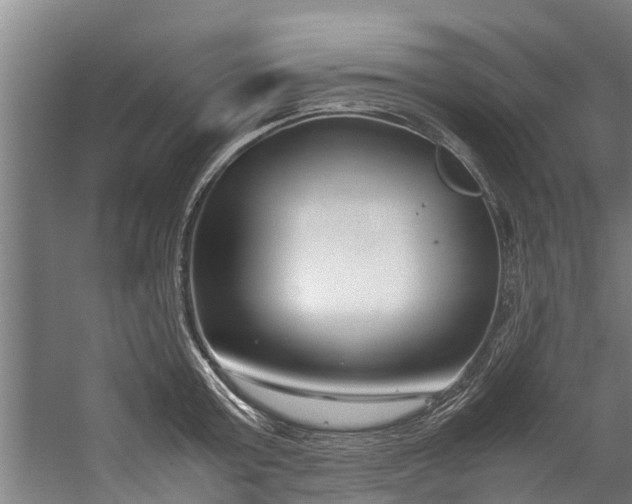 X0000059850803200511041838