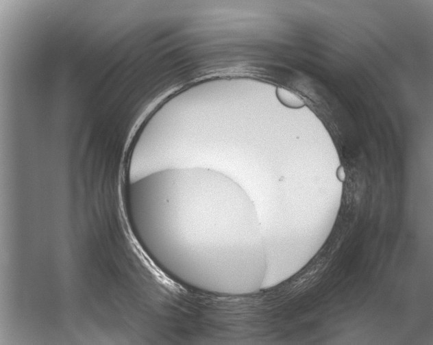 X0000059850804200511041838