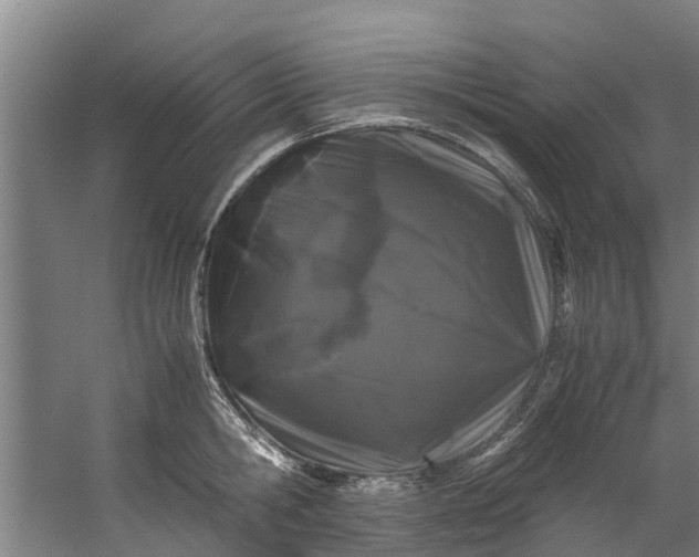 X0000059850806200511041838