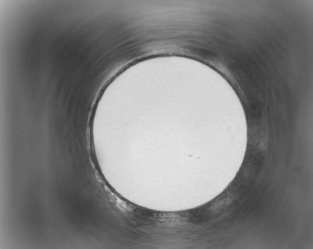 X0000059850807200511041838