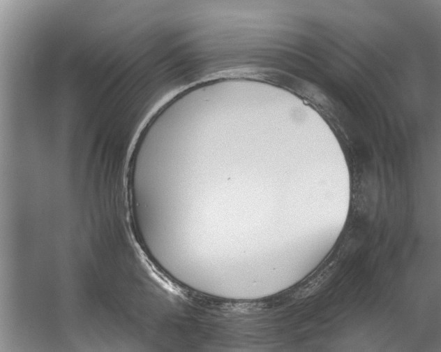 X0000059850808200511041838