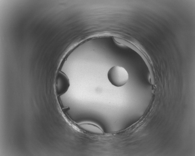 X0000059850813200511041838