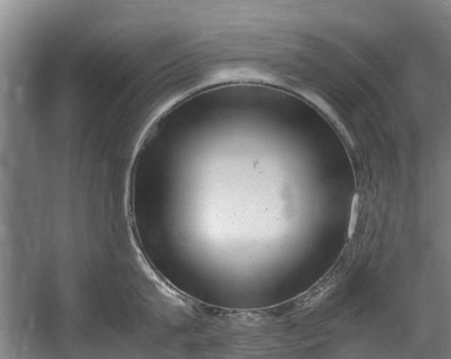 X0000059850815200511041838