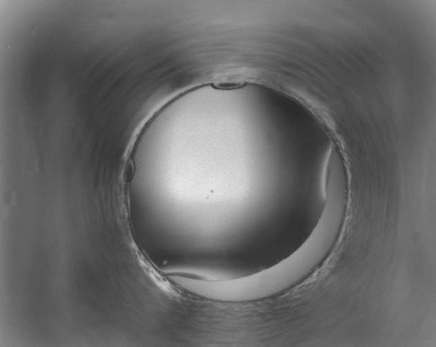 X0000059850816200511041838