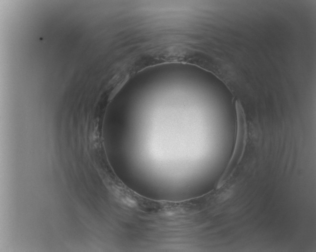 X0000059850818200511041837