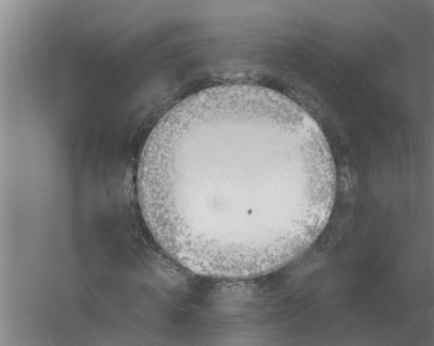 X0000059850820200511041837