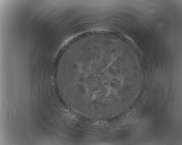 X0000059850823200511041837