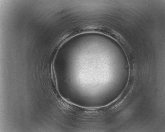 X0000059850825200511041837