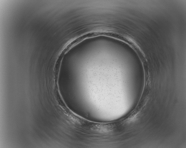 X0000059850829200511041837