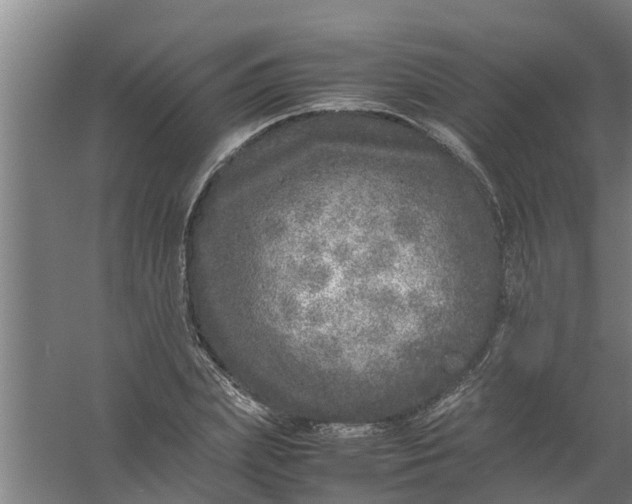 X0000059850831200511041837