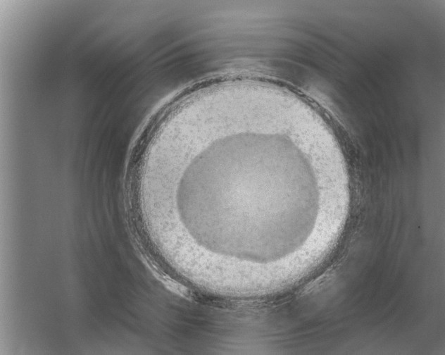 X0000059850832200511041837