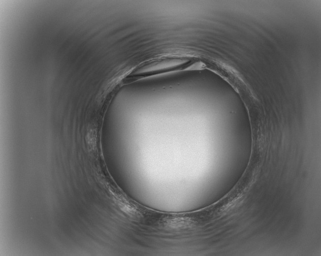 X0000059850833200511041837