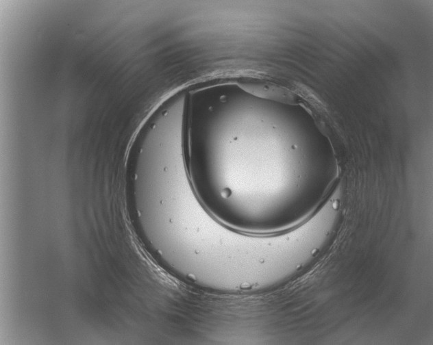 X0000059850836200511041837