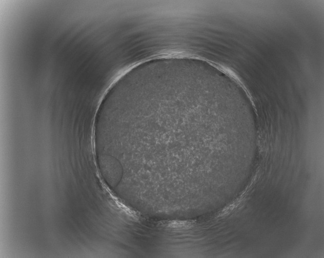 X0000059850839200511041837