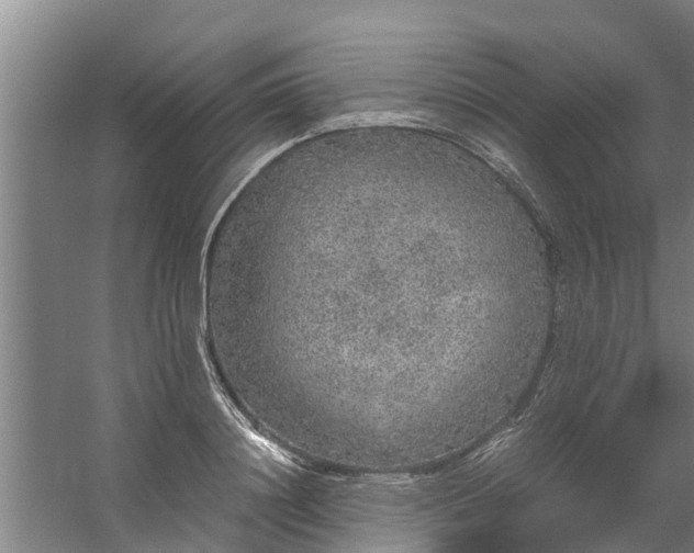 X0000059850844200511041837