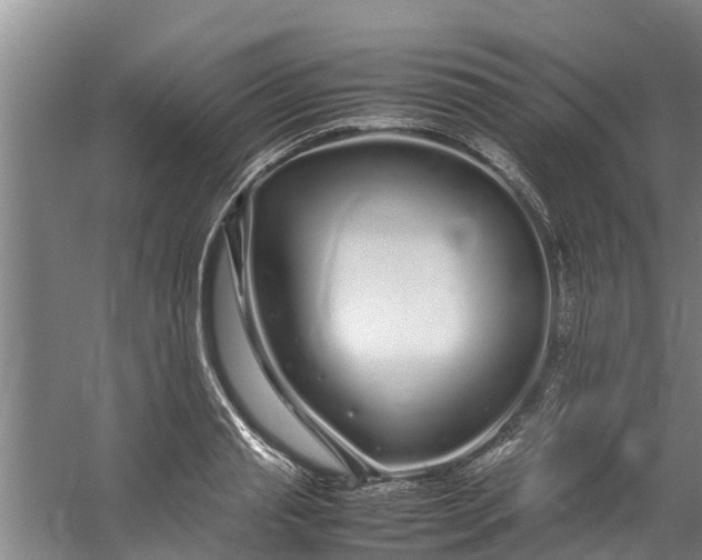 X0000059850845200511041837